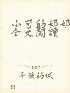 小可的奶奶小说全文阅读