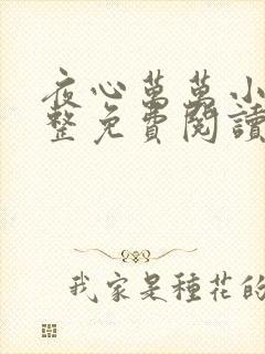 夜心万万小说完整免费阅读全文