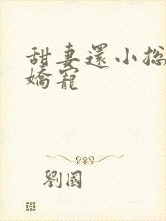 甜妻还小总裁需娇宠封面