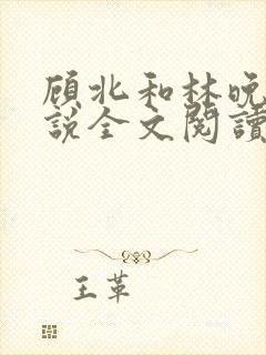 顾北和林晚晴小说全文阅读