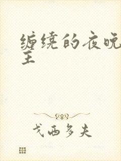 缠绕的夜晚双男主