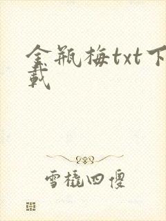 金瓶梅txt下载