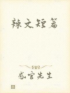 辣文短篇封面