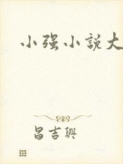 小强小说大全封面