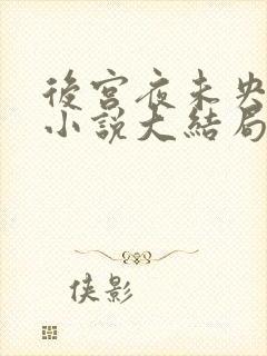 后宫夜未央sp小说大结局