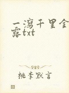 一泻千里金银花露txt封面