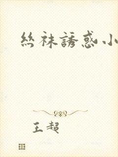 丝袜诱惑小说
