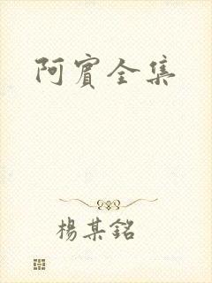 阿宾全集