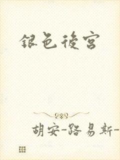 银色后宫封面