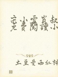 宋小雪肖叔全文免费阅读小说封面