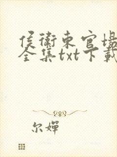 侯卫东官场笔记全集txt下载封面