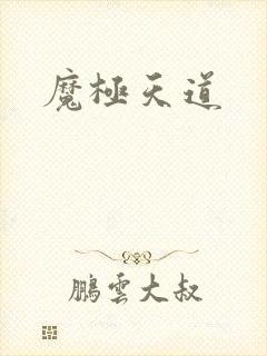 魔极天道封面
