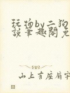玩物by二狗小说笔趣阁免费阅读封面