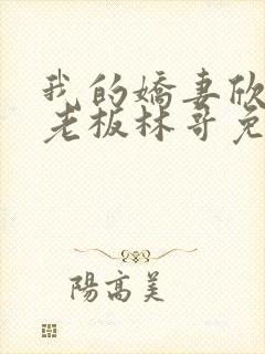 我的娇妻欣儿和老板林哥免费阅读