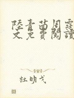 陆青茴周霆琛全文免费阅读封面