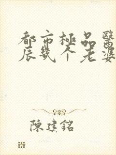 都市极品医神叶辰几个老婆