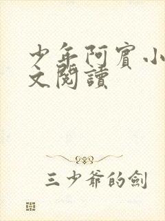 少年阿宾小说全文阅读