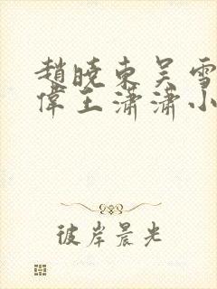 赵晓东吴雪晴郑伟王潇潇小说名字