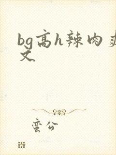 bg高h辣肉爽文