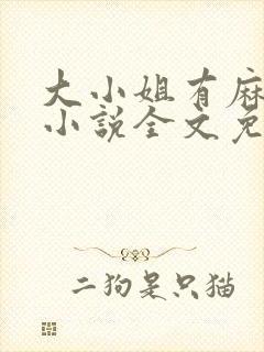 大小姐有麻烦了小说全文免费阅读边澈封面