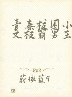 青春校园小说甜文校霸男主
