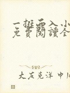 一挺而入小八爷免费阅读全文