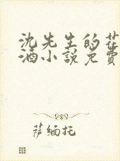 沈先生的花式调酒小说免费阅读