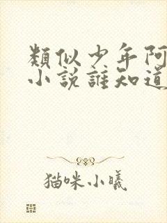 类似少年阿宾的小说谁知道几部