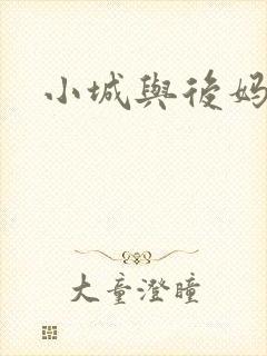 小城与后妈封面