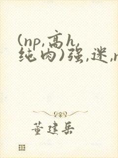 (np,高h,纯肉)强,迷,np
