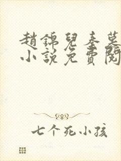 赵锦儿秦慕修的小说免费阅读全文封面