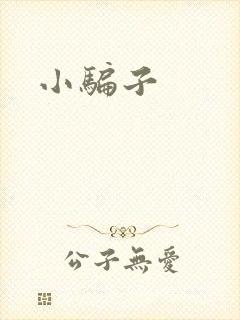 小骗子
