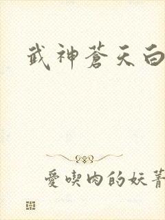 武神苍天白鹤封面