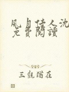 风月佳人沈修延免费阅读