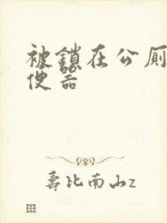 被锁在公厕当坐便器封面
