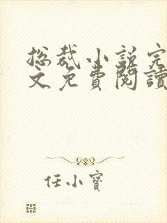 总裁小说完结全文免费阅读全文