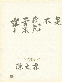 嫂子我不是傻子了叶凡封面