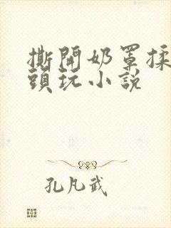 撕开奶罩揉吮奶头玩小说