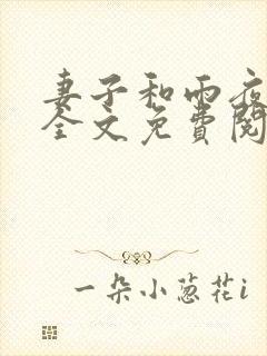 妻子和雨夜小说全文免费阅读