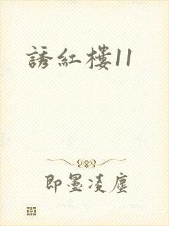 诱红楼11