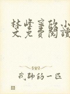林峰宁欣小说全文免费阅读笔趣阁