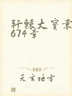 轩辕大宝袁雪妃674章