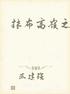 抹布高岭之花