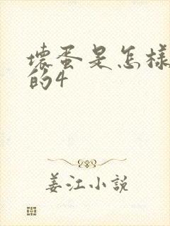 坏蛋是怎样炼成的4封面