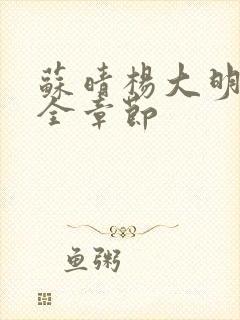 苏晴杨大明小说全章节