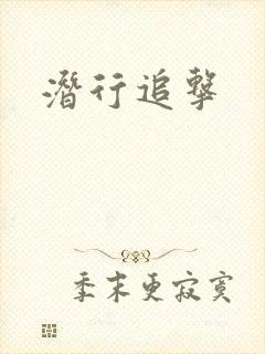 潜行追击