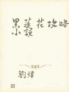 黑莲花攻略手册小说