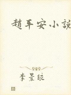 赵平安小说主角