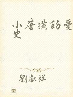 小唐璜的爱情历史