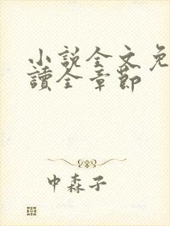 小说全文免费阅读全章节